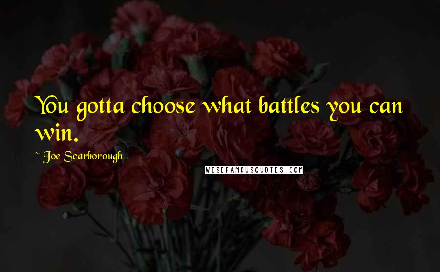 Joe Scarborough Quotes: You gotta choose what battles you can win.