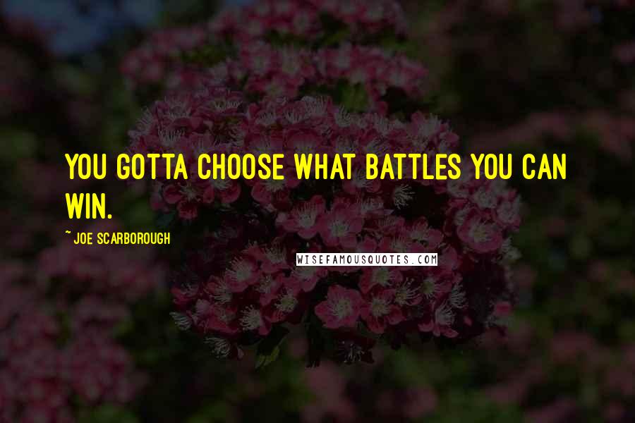 Joe Scarborough Quotes: You gotta choose what battles you can win.