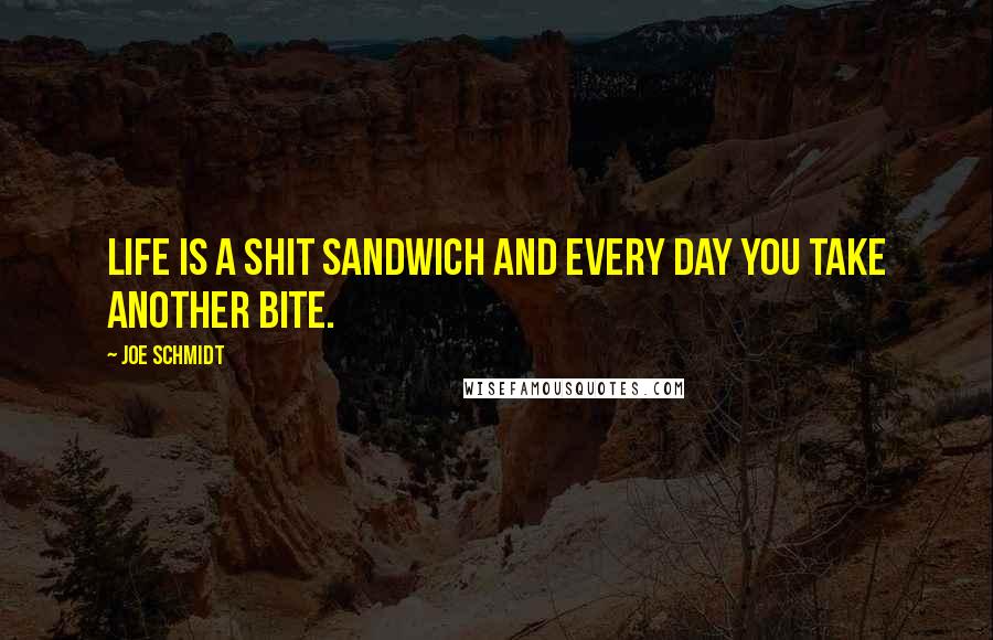 Joe Schmidt Quotes: Life is a shit sandwich and every day you take another bite.