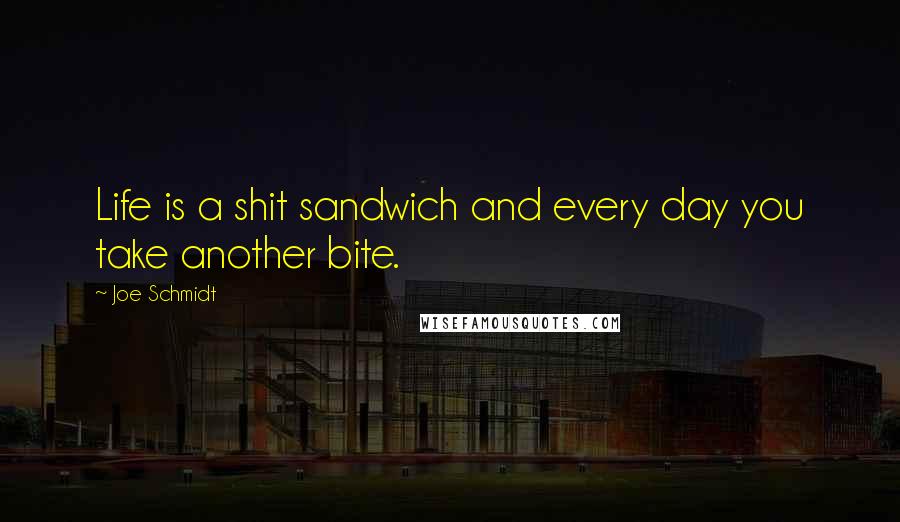 Joe Schmidt Quotes: Life is a shit sandwich and every day you take another bite.