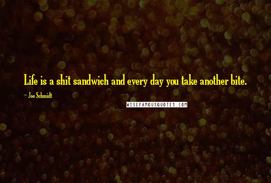 Joe Schmidt Quotes: Life is a shit sandwich and every day you take another bite.
