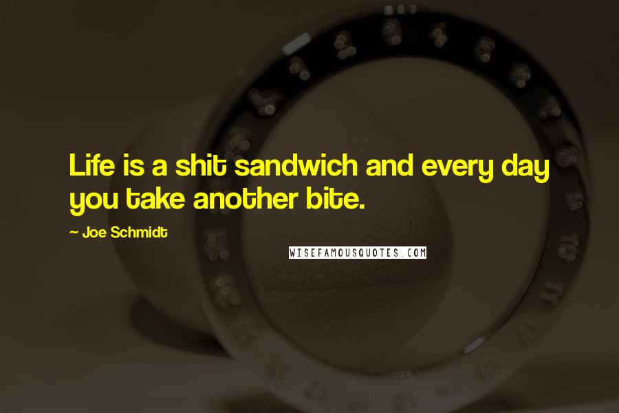 Joe Schmidt Quotes: Life is a shit sandwich and every day you take another bite.