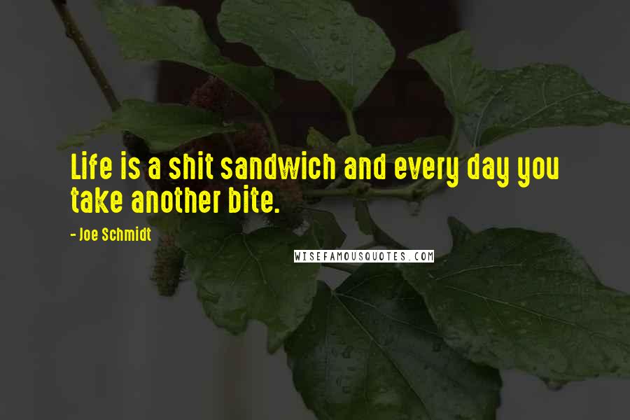 Joe Schmidt Quotes: Life is a shit sandwich and every day you take another bite.