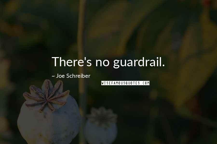 Joe Schreiber Quotes: There's no guardrail.