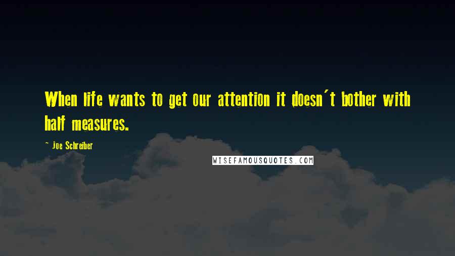 Joe Schreiber Quotes: When life wants to get our attention it doesn't bother with half measures.