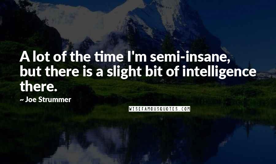 Joe Strummer Quotes: A lot of the time I'm semi-insane, but there is a slight bit of intelligence there.
