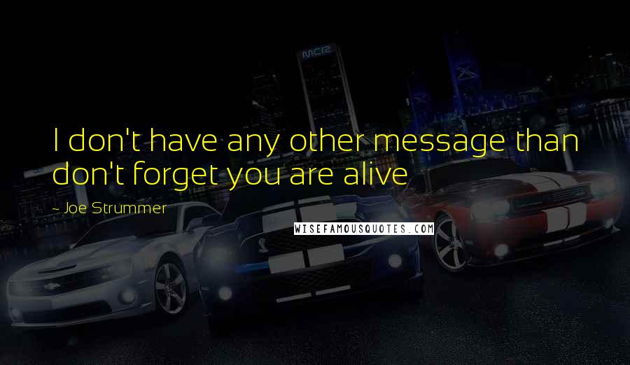Joe Strummer Quotes: I don't have any other message than don't forget you are alive