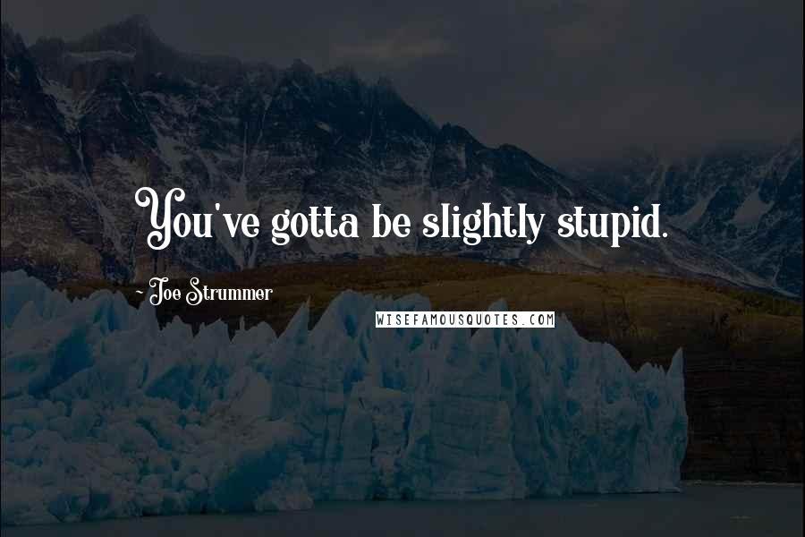 Joe Strummer Quotes: You've gotta be slightly stupid.