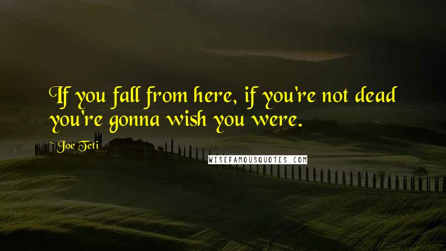 Joe Teti Quotes: If you fall from here, if you're not dead you're gonna wish you were.