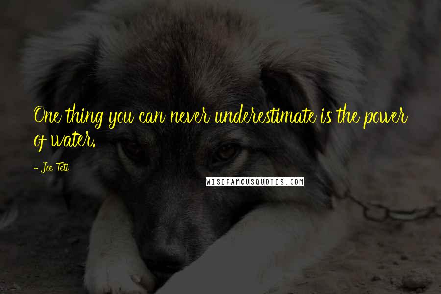 Joe Teti Quotes: One thing you can never underestimate is the power of water.