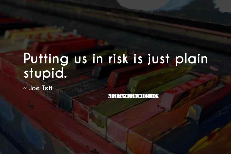 Joe Teti Quotes: Putting us in risk is just plain stupid.