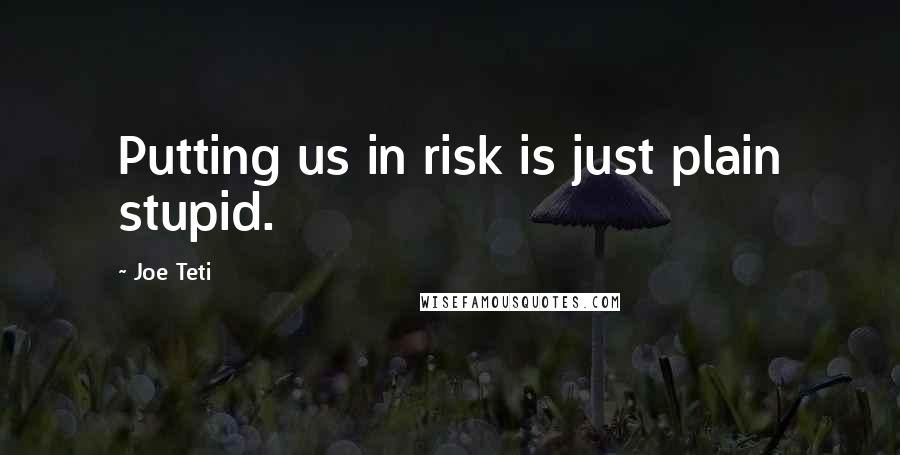 Joe Teti Quotes: Putting us in risk is just plain stupid.