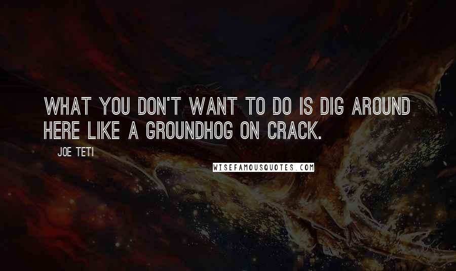 Joe Teti Quotes: What you don't want to do is dig around here like a groundhog on crack.