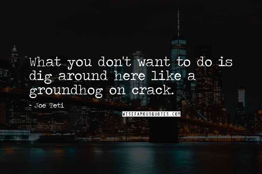 Joe Teti Quotes: What you don't want to do is dig around here like a groundhog on crack.