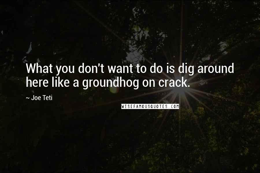 Joe Teti Quotes: What you don't want to do is dig around here like a groundhog on crack.