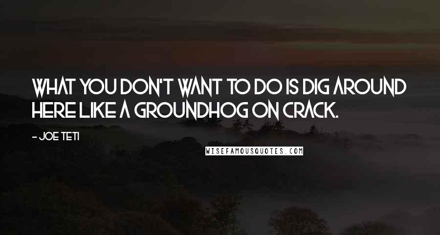 Joe Teti Quotes: What you don't want to do is dig around here like a groundhog on crack.