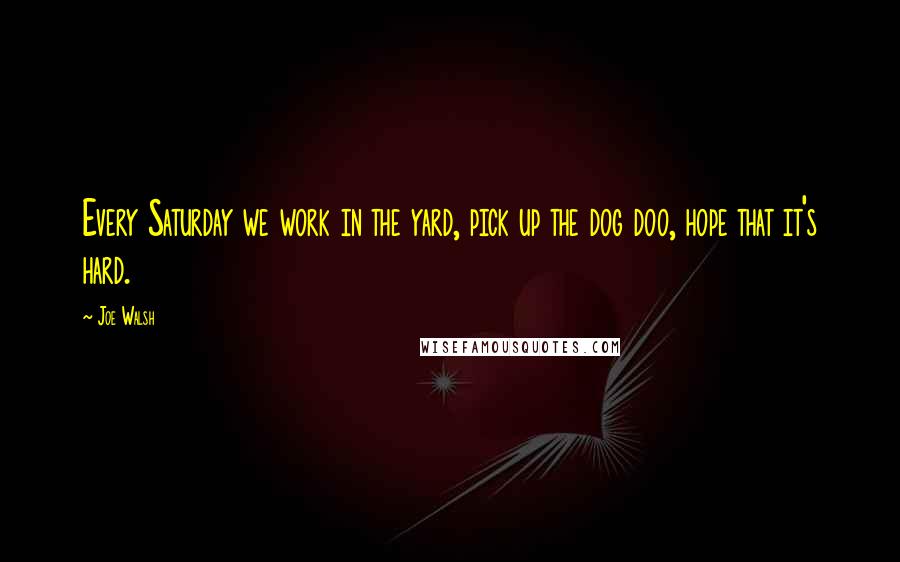 Joe Walsh Quotes: Every Saturday we work in the yard, pick up the dog doo, hope that it's hard.