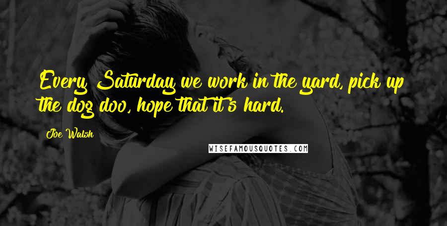 Joe Walsh Quotes: Every Saturday we work in the yard, pick up the dog doo, hope that it's hard.