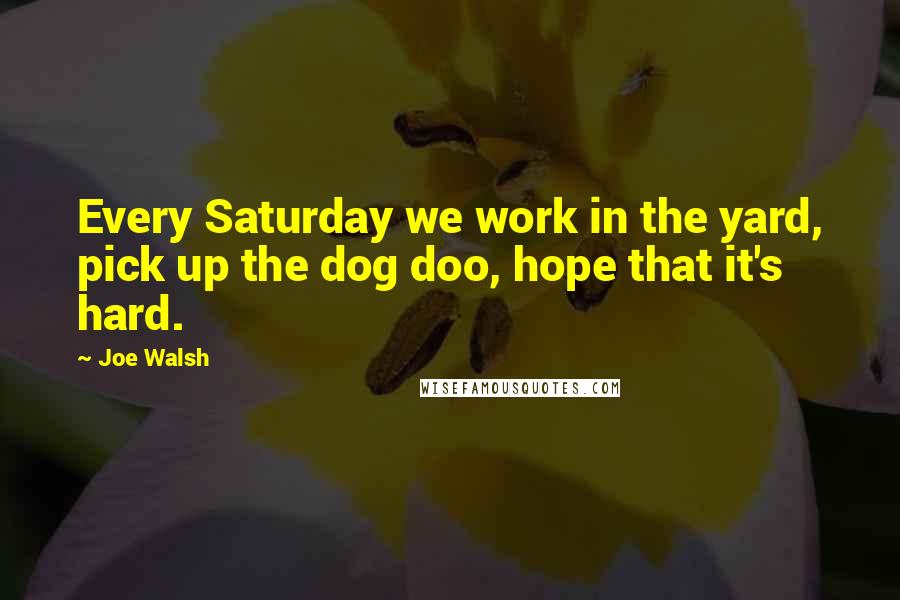 Joe Walsh Quotes: Every Saturday we work in the yard, pick up the dog doo, hope that it's hard.