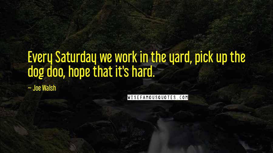 Joe Walsh Quotes: Every Saturday we work in the yard, pick up the dog doo, hope that it's hard.