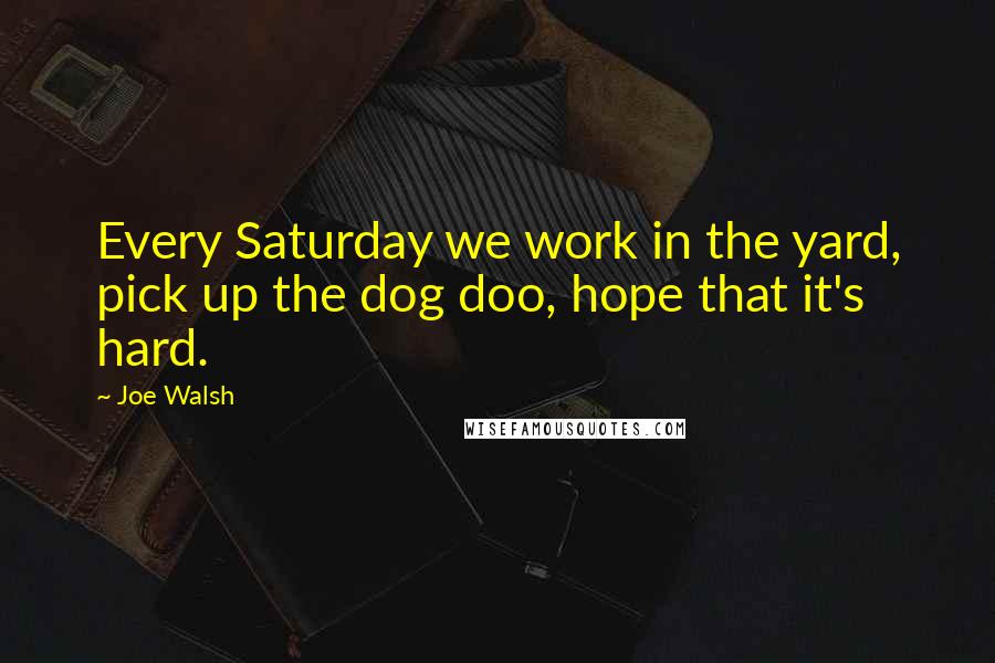 Joe Walsh Quotes: Every Saturday we work in the yard, pick up the dog doo, hope that it's hard.