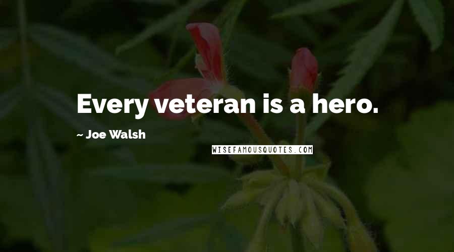 Joe Walsh Quotes: Every veteran is a hero.