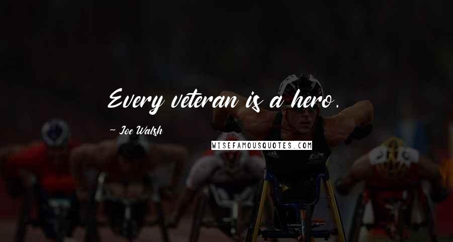 Joe Walsh Quotes: Every veteran is a hero.