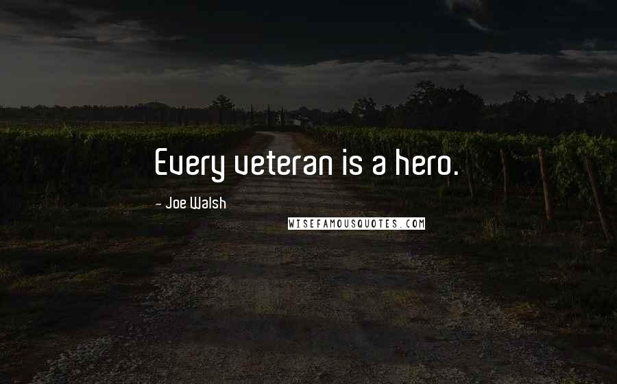 Joe Walsh Quotes: Every veteran is a hero.