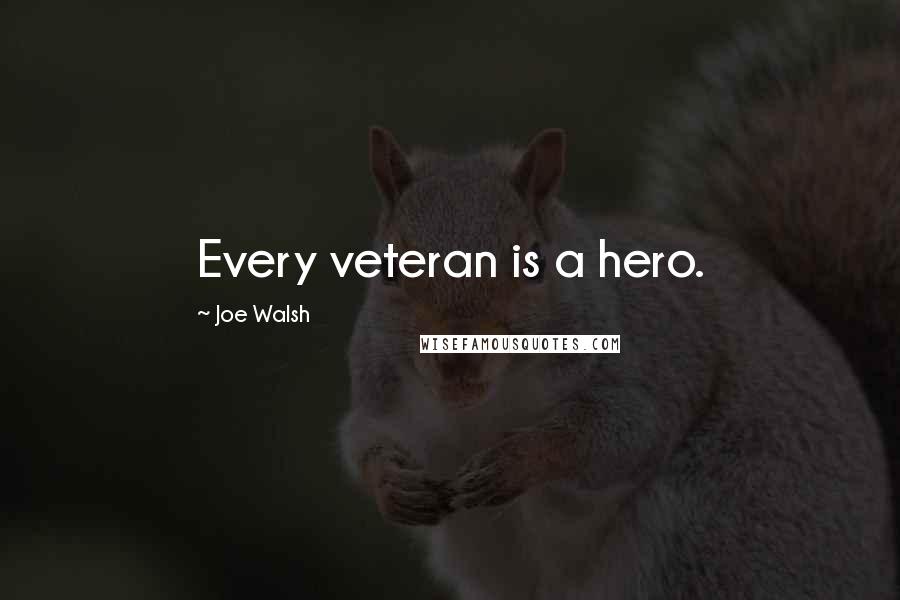 Joe Walsh Quotes: Every veteran is a hero.