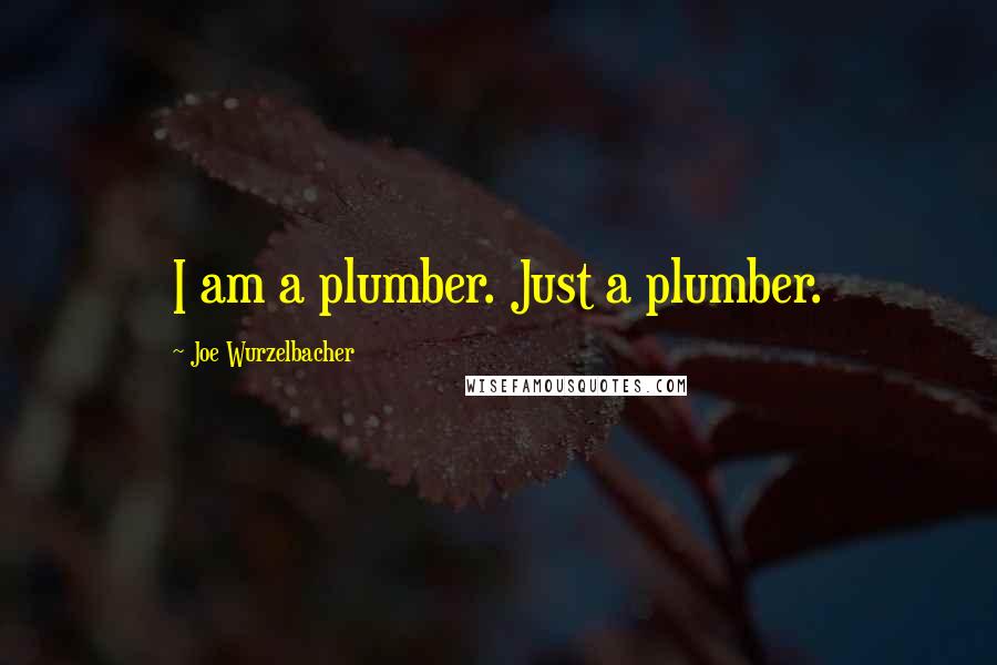 Joe Wurzelbacher Quotes: I am a plumber. Just a plumber.