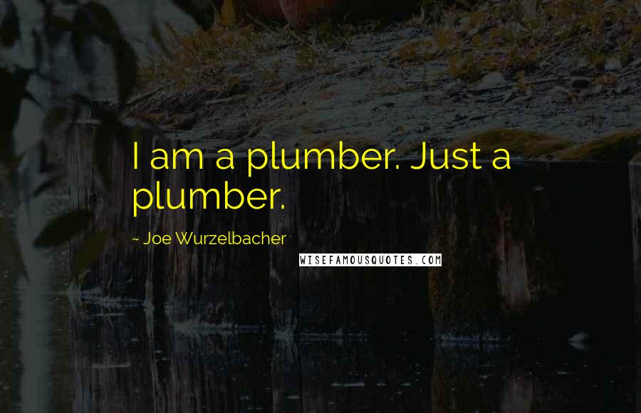 Joe Wurzelbacher Quotes: I am a plumber. Just a plumber.