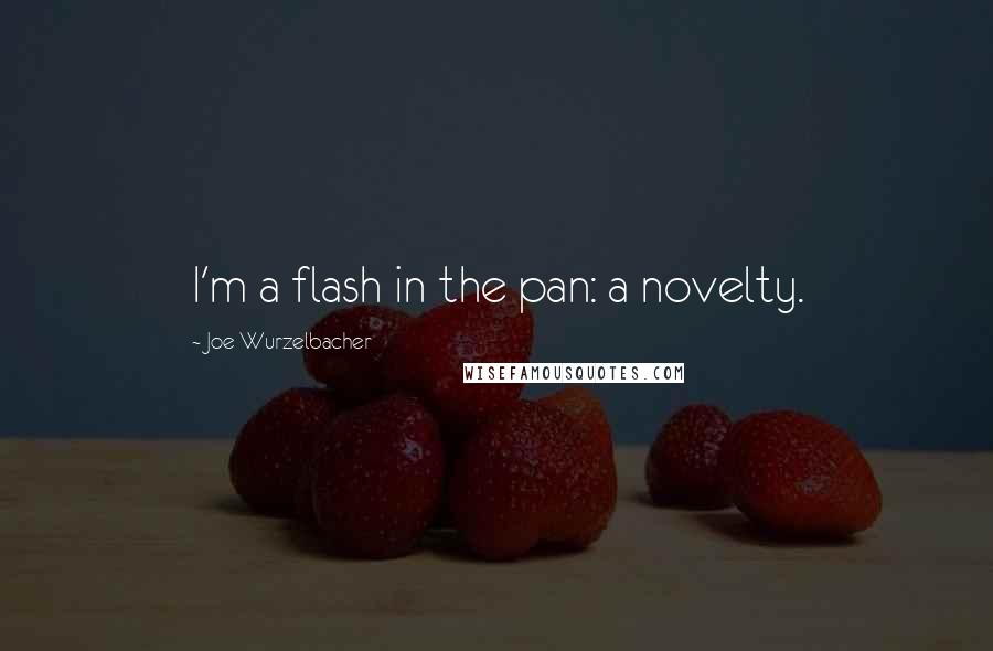 Joe Wurzelbacher Quotes: I'm a flash in the pan: a novelty.