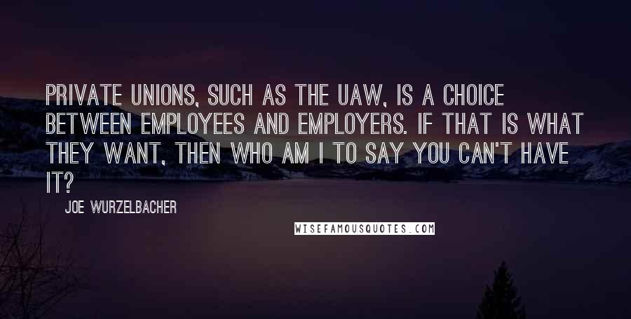 Joe Wurzelbacher Quotes: Private unions, such as the UAW, is a choice between employees and employers. If that is what they want, then who am I to say you can't have it?