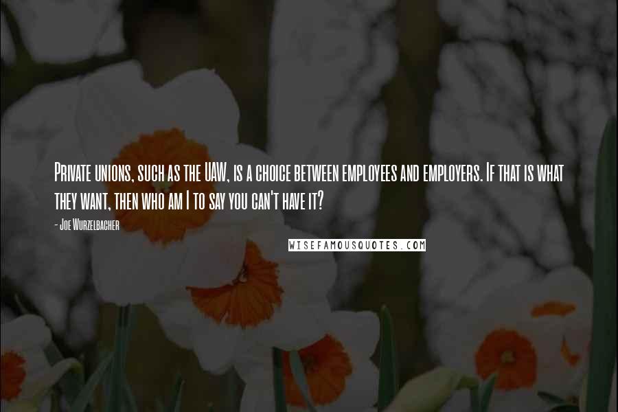 Joe Wurzelbacher Quotes: Private unions, such as the UAW, is a choice between employees and employers. If that is what they want, then who am I to say you can't have it?
