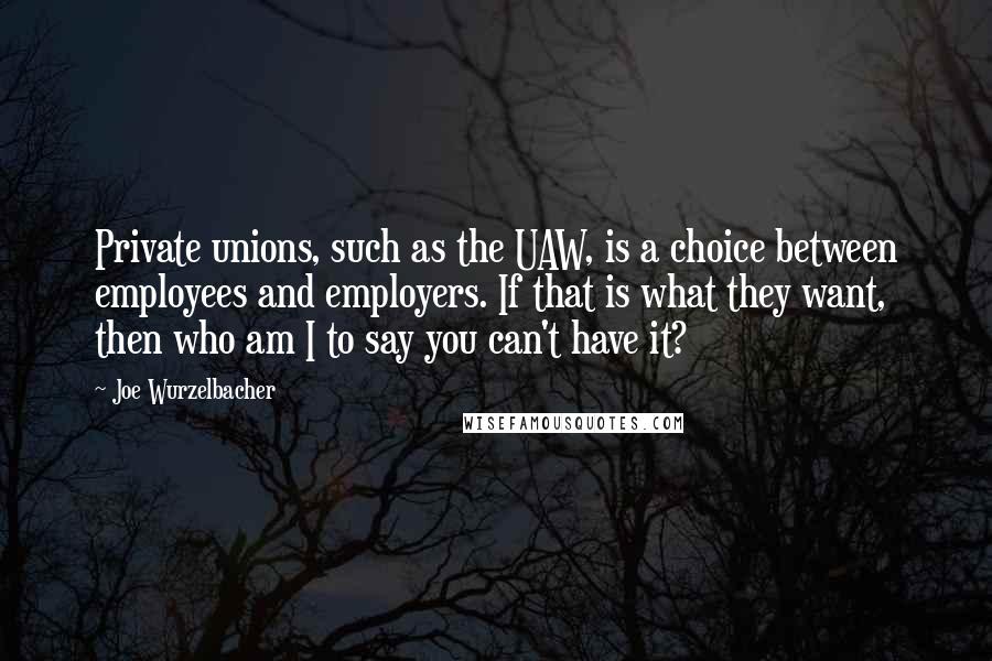 Joe Wurzelbacher Quotes: Private unions, such as the UAW, is a choice between employees and employers. If that is what they want, then who am I to say you can't have it?