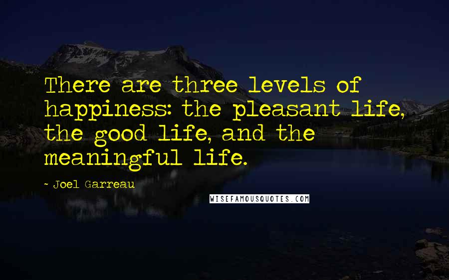 Joel Garreau Quotes: There are three levels of happiness: the pleasant life, the good life, and the meaningful life.