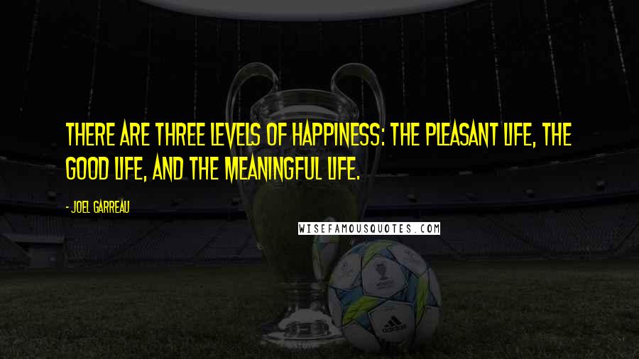 Joel Garreau Quotes: There are three levels of happiness: the pleasant life, the good life, and the meaningful life.