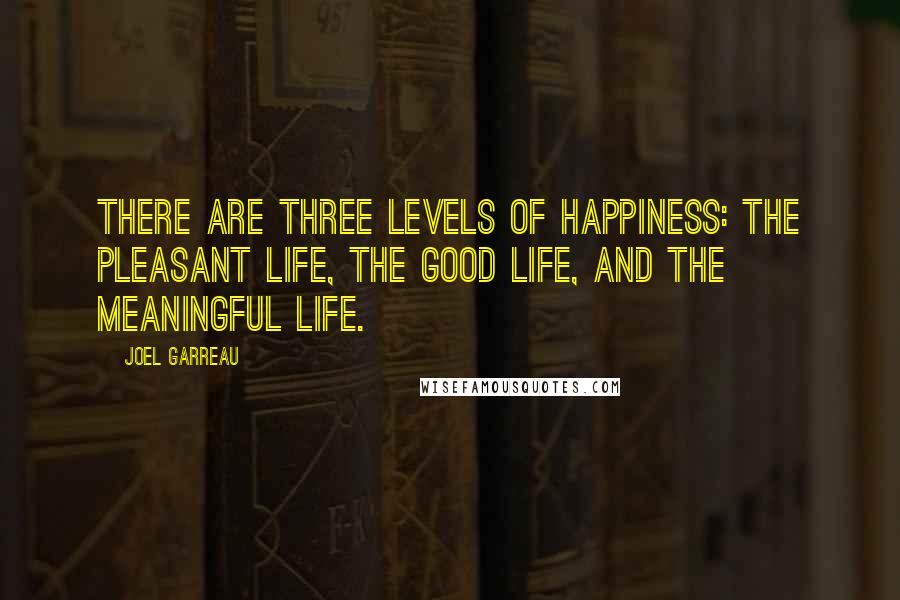 Joel Garreau Quotes: There are three levels of happiness: the pleasant life, the good life, and the meaningful life.