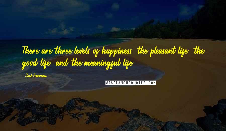 Joel Garreau Quotes: There are three levels of happiness: the pleasant life, the good life, and the meaningful life.