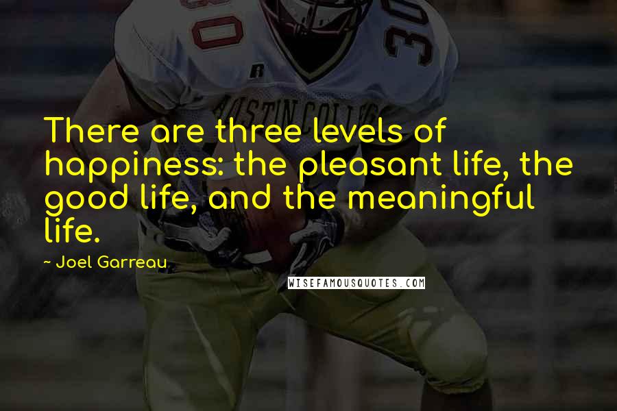 Joel Garreau Quotes: There are three levels of happiness: the pleasant life, the good life, and the meaningful life.