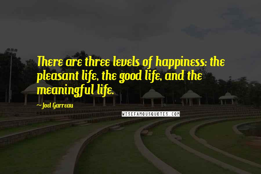 Joel Garreau Quotes: There are three levels of happiness: the pleasant life, the good life, and the meaningful life.