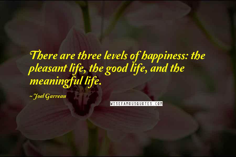 Joel Garreau Quotes: There are three levels of happiness: the pleasant life, the good life, and the meaningful life.