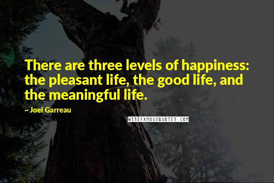 Joel Garreau Quotes: There are three levels of happiness: the pleasant life, the good life, and the meaningful life.