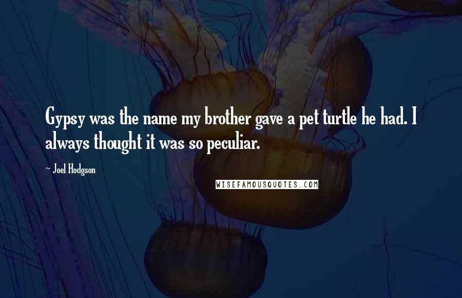 Joel Hodgson Quotes: Gypsy was the name my brother gave a pet turtle he had. I always thought it was so peculiar.