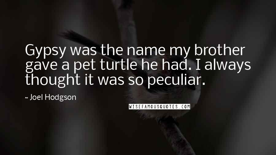 Joel Hodgson Quotes: Gypsy was the name my brother gave a pet turtle he had. I always thought it was so peculiar.