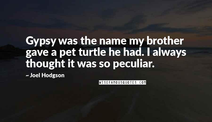Joel Hodgson Quotes: Gypsy was the name my brother gave a pet turtle he had. I always thought it was so peculiar.