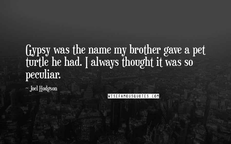 Joel Hodgson Quotes: Gypsy was the name my brother gave a pet turtle he had. I always thought it was so peculiar.