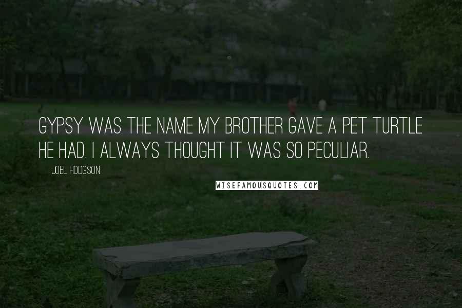 Joel Hodgson Quotes: Gypsy was the name my brother gave a pet turtle he had. I always thought it was so peculiar.