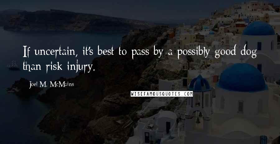 Joel M. McMains Quotes: If uncertain, it's best to pass by a possibly good dog than risk injury.