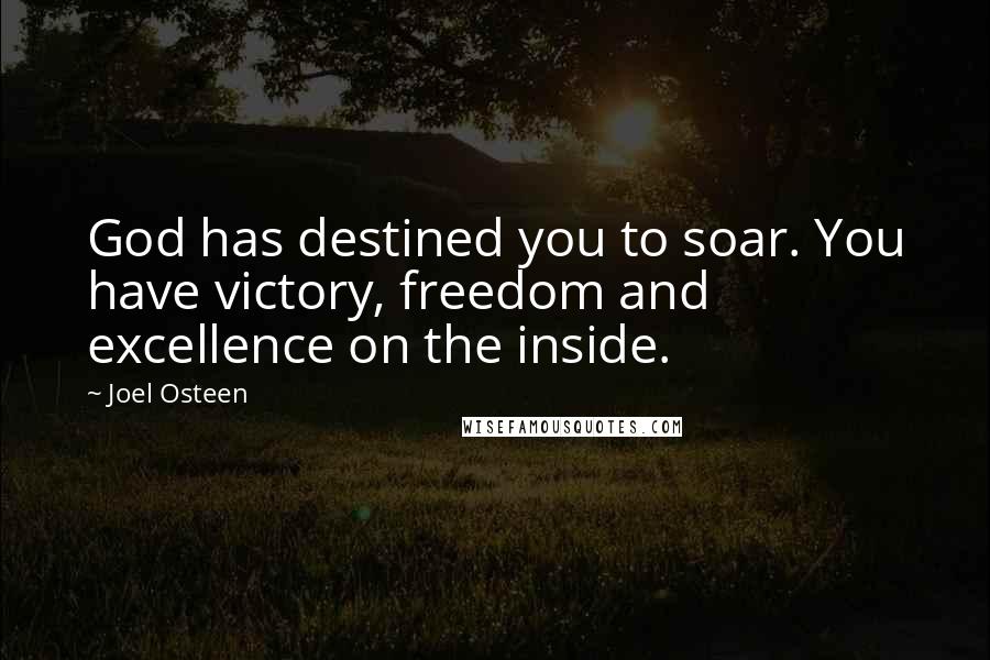 Joel Osteen Quotes: God has destined you to soar. You have victory, freedom and excellence on the inside.